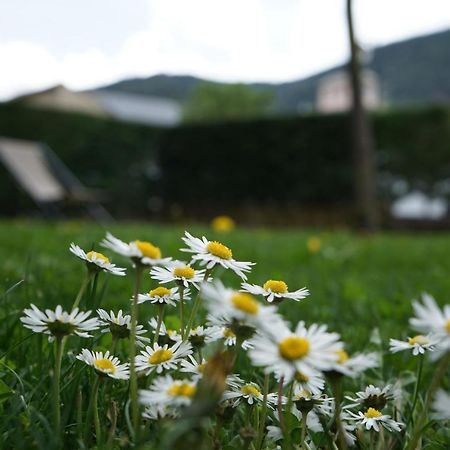 Apartamento Con Jardin En La Cerdanya Err Exterior foto